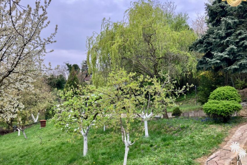 Foto-14.04.26-16-43-31.jpg