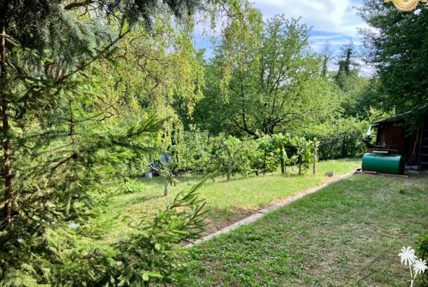 Foto-15.07.26-16-09-56.jpg