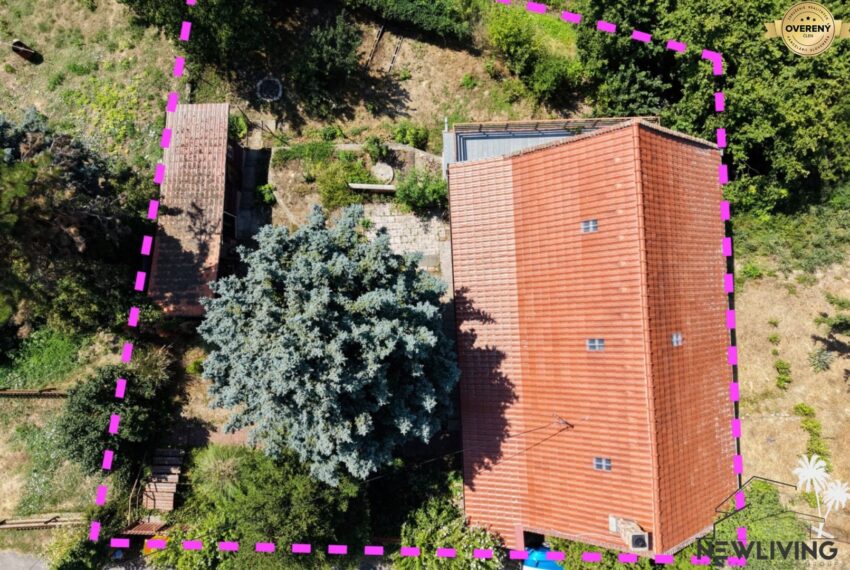 019_DJI_20260803120504_0556_D.jpg