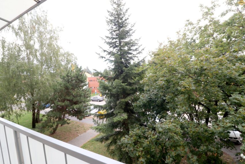 foto8.jpg